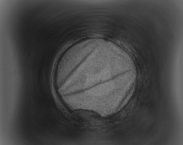 X0000100190145200806201301