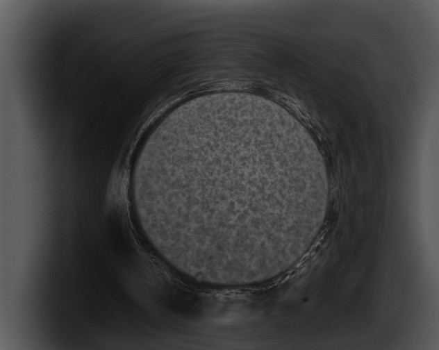 X0000100190146200806201301