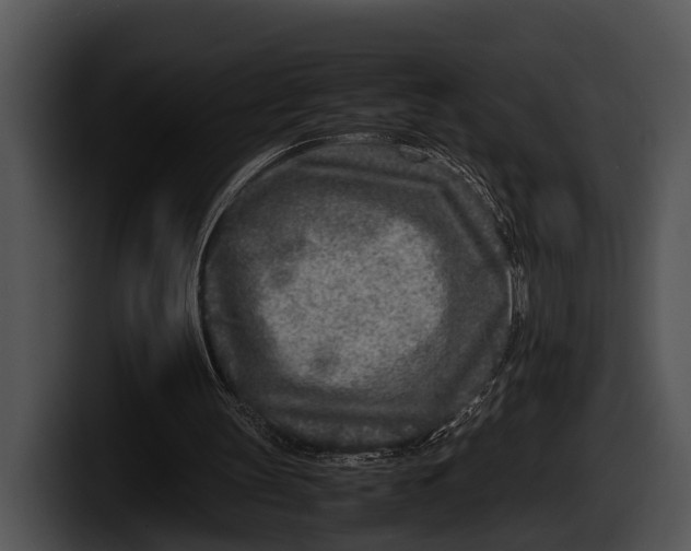 X0000100190147200806201301