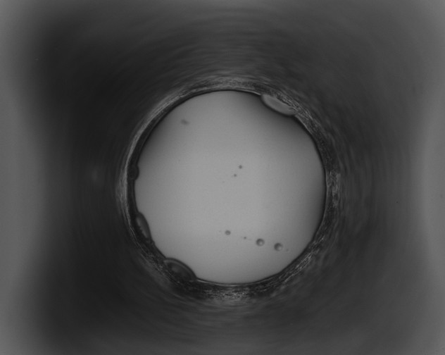 X0000100190148200806201301