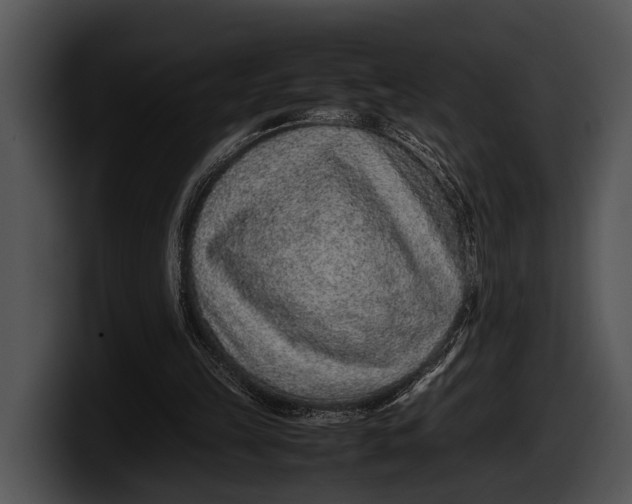X0000100190149200806201301