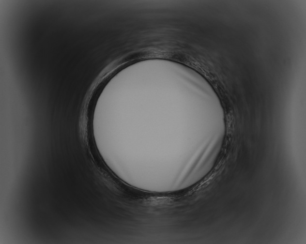 X0000100190150200806201301