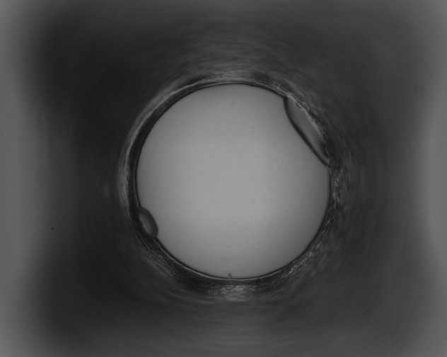 X0000100190152200806201301