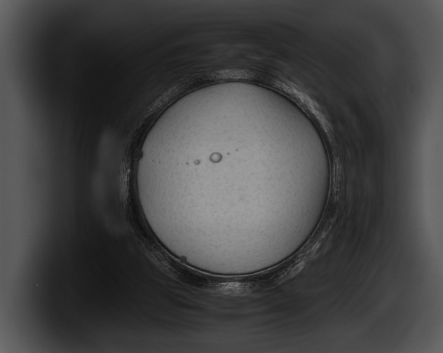 X0000100190153200806201301