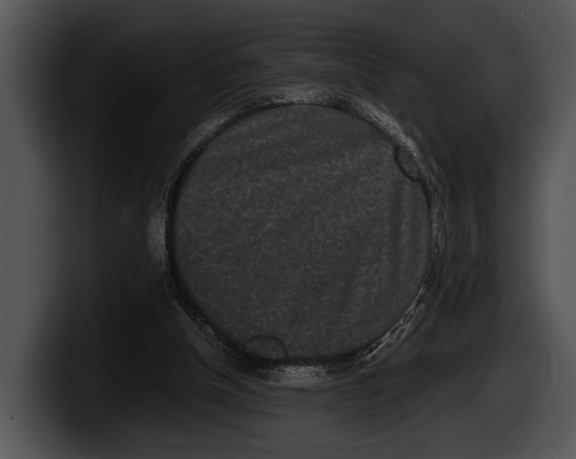 X0000100190154200806201301