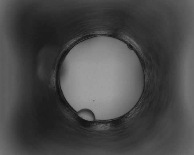 X0000100190155200806201301