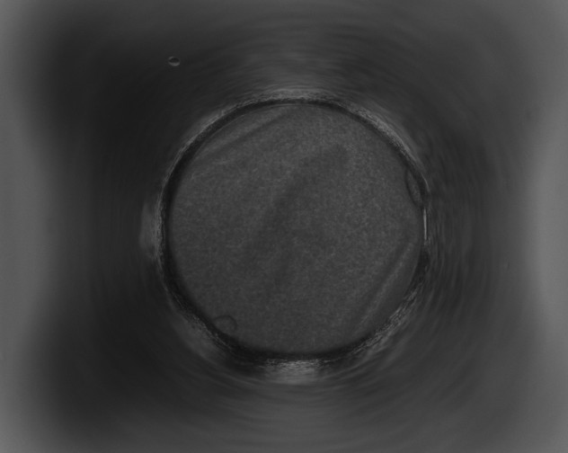 X0000100190156200806201301