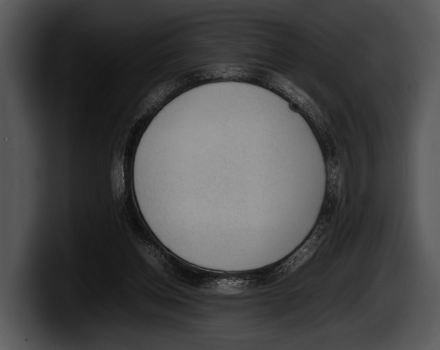 X0000100190158200806201301