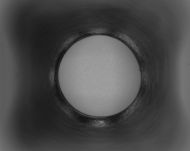 X0000100190159200806201301
