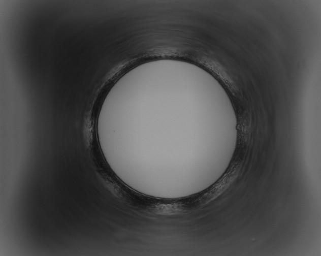 X0000100190160200806201301