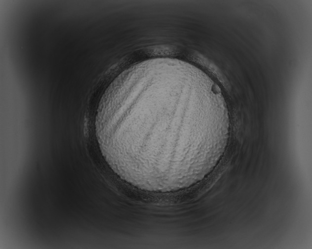 X0000100190161200806201302