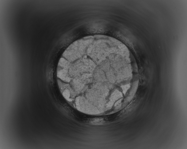 X0000100190162200806201302