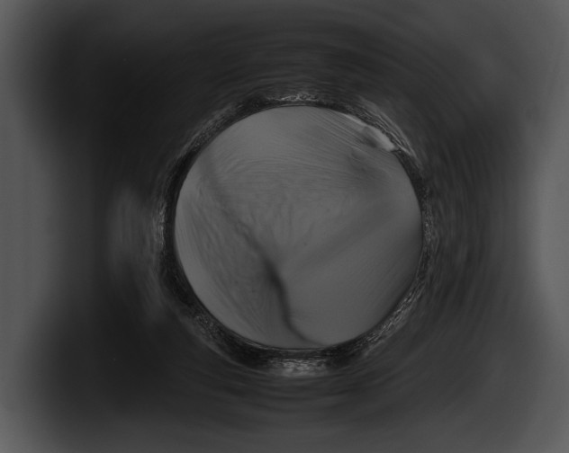 X0000100190163200806201302