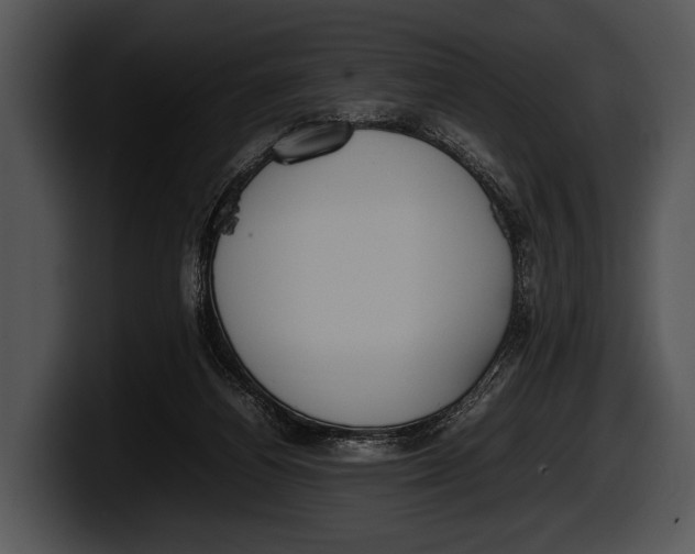 X0000100190164200806201302