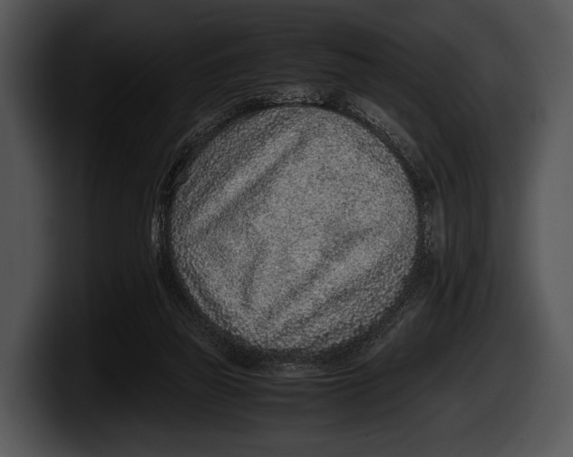 X0000100190165200806201302