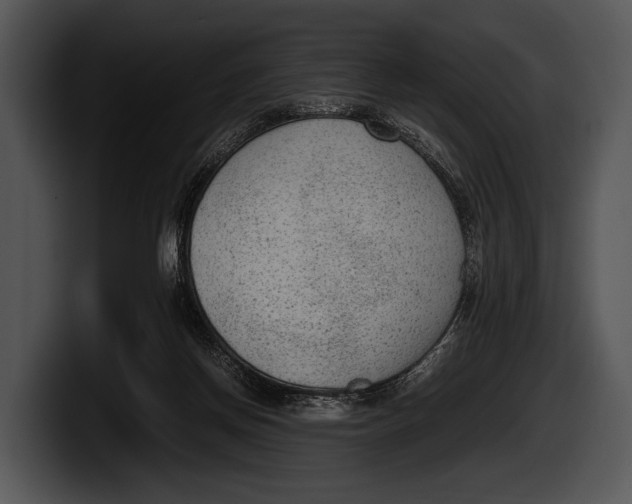 X0000100190166200806201302