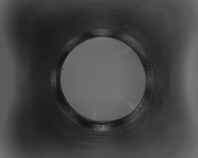X0000100190167200806201302