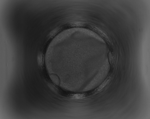 X0000100190168200806201302