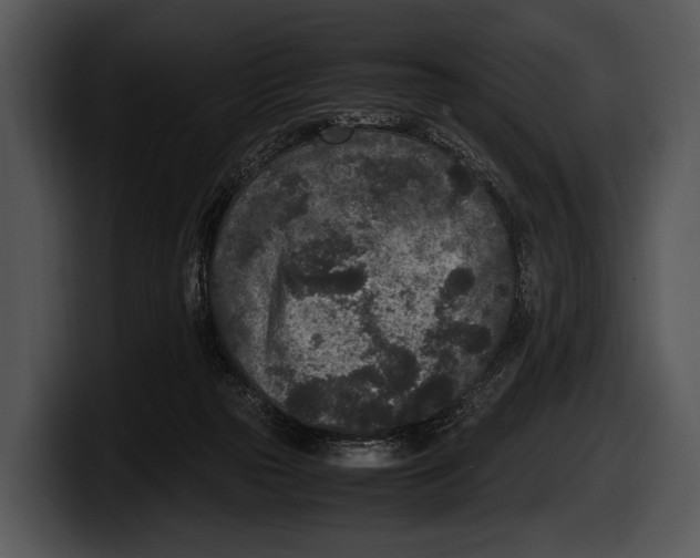X0000100190169200806201302