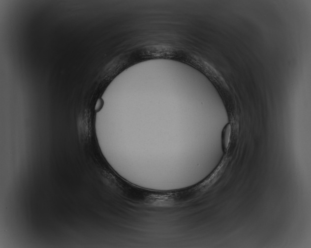X0000100190170200806201302