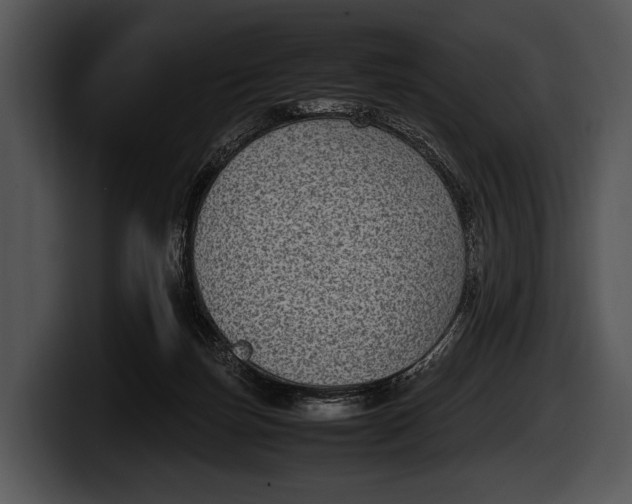 X0000100190171200806201302
