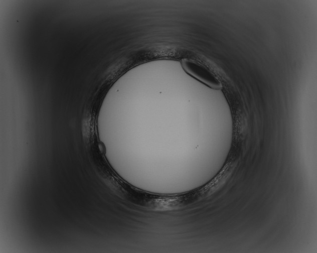 X0000100190172200806201302