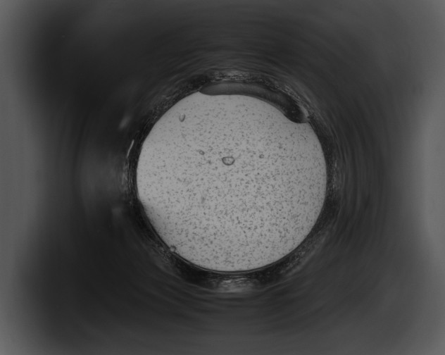 X0000100190173200806201302