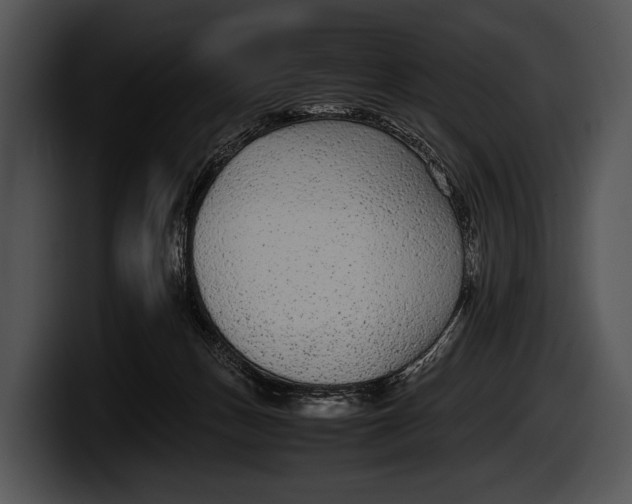X0000100190175200806201302