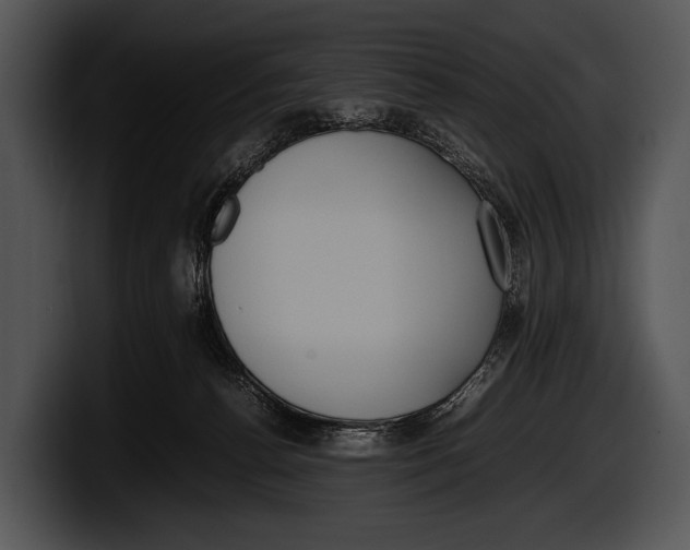 X0000100190176200806201302