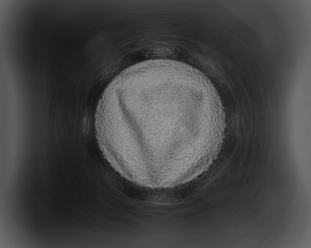 X0000100190177200806201302