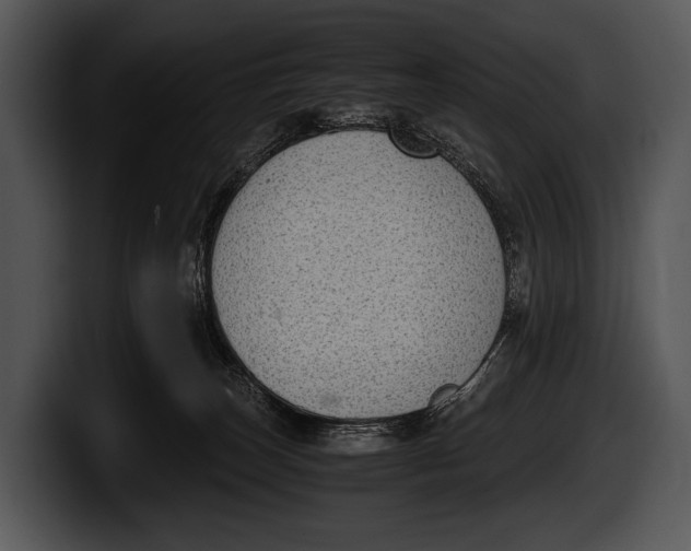 X0000100190179200806201302