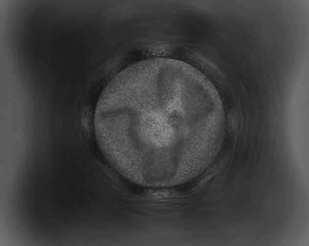 X0000100190181200806201302