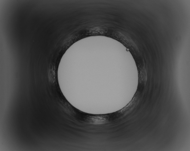 X0000100190183200806201302