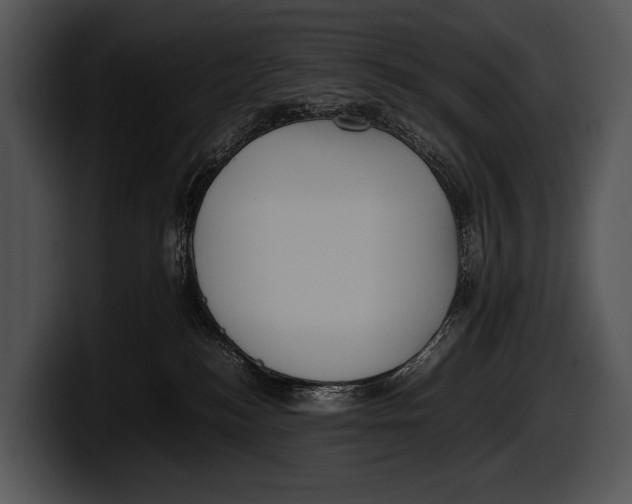 X0000100190184200806201302