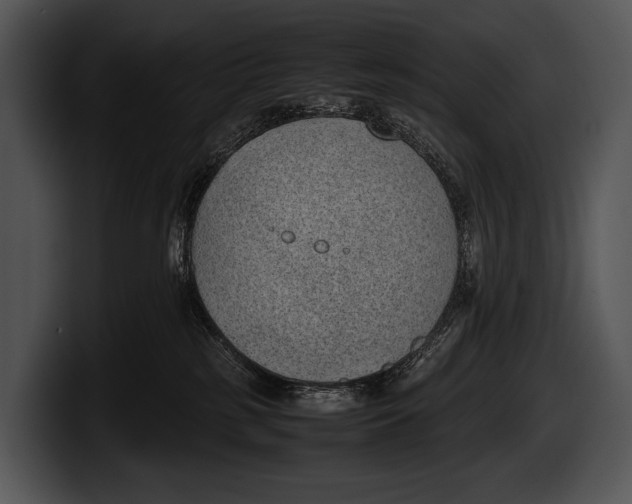 X0000100190185200806201302