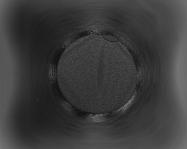 X0000100190186200806201302
