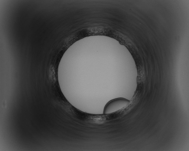 X0000100190187200806201302