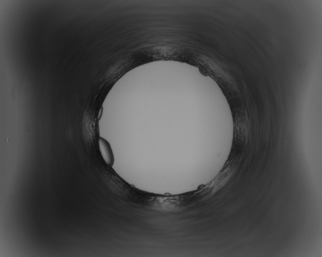 X0000100190188200806201302