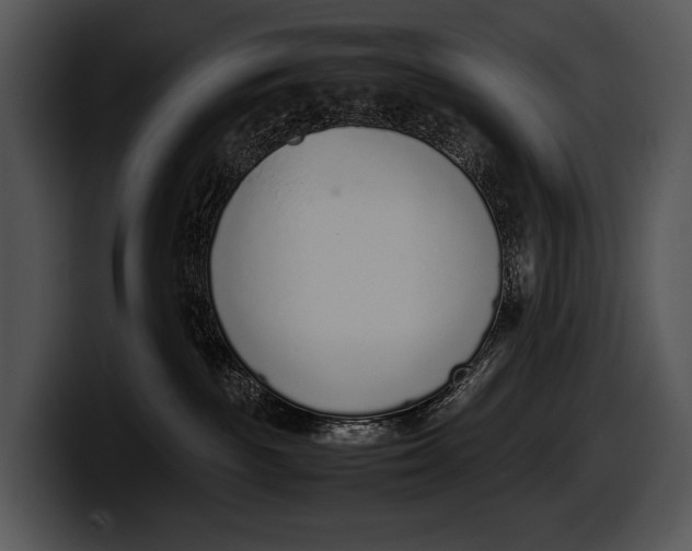 X0000100190189200806201302