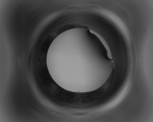 X0000100190190200806201302