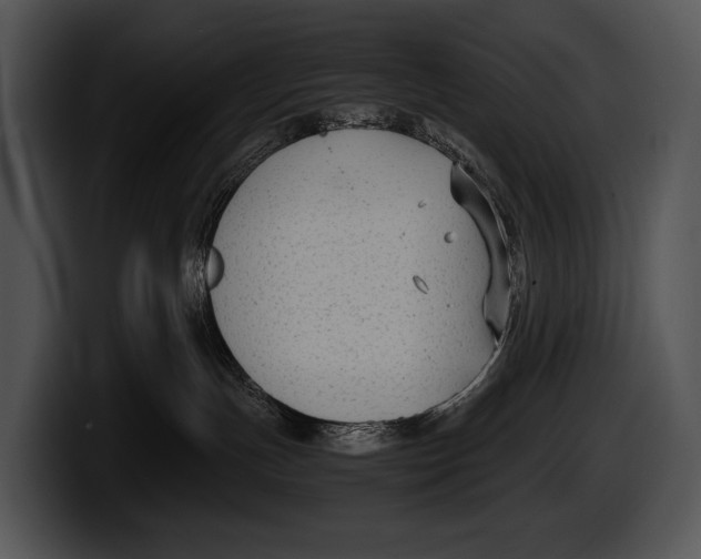 X0000100190191200806201302