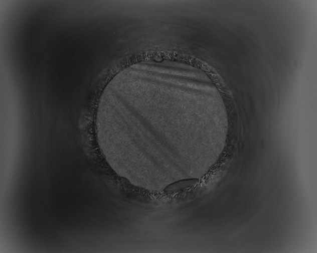 X0000100190192200806201302