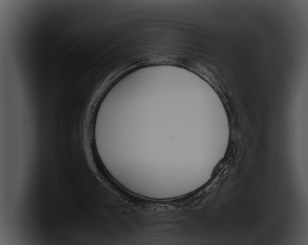 X0000100190193200806201301