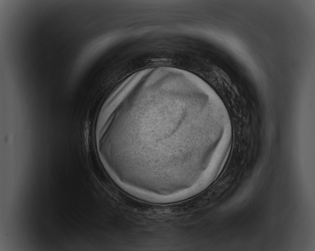 X0000100190194200806201301
