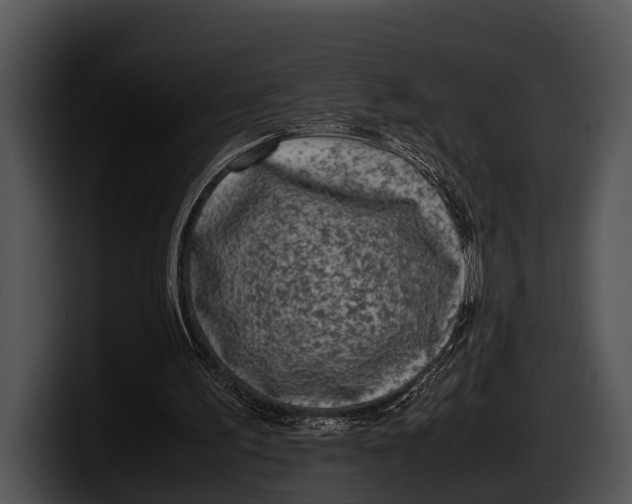 X0000100190195200806201301