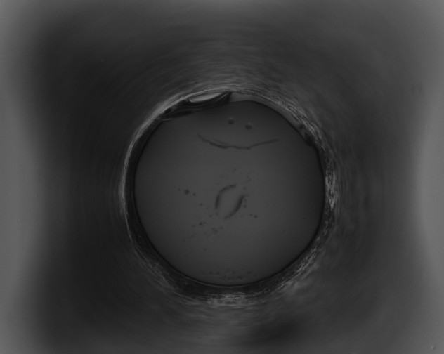 X0000100190196200806201301