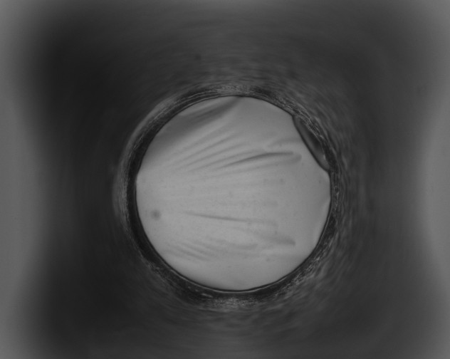 X0000100190197200806201301