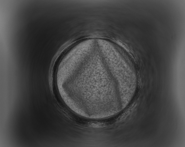 X0000100190199200806201301