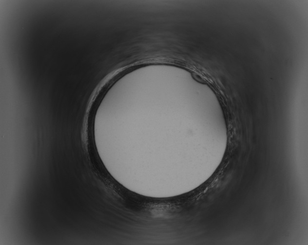 X0000100190200200806201301