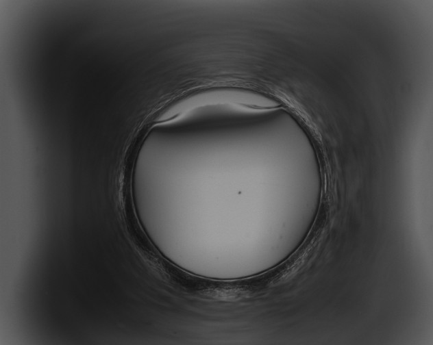 X0000100190201200806201301